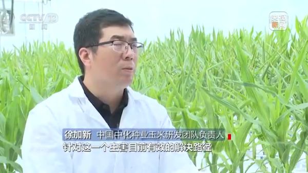 海利集团,长沙杀虫剂,长沙光气衍生物,长沙氨基酸保护剂,长沙锂离子电池材料